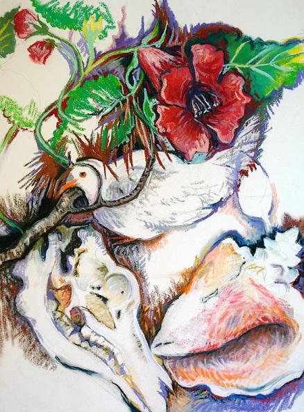Dove, Skull, Conch, pastel on paper, 2004.