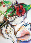 Dove, Skull, Conch, pastel on paper, 2004.