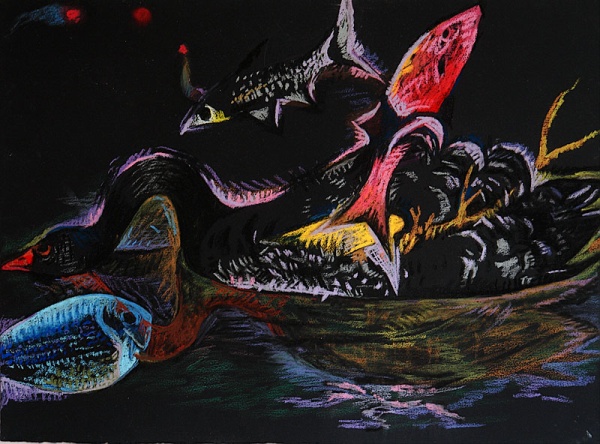 Black Swan, pastel on paper, 30"x 22", 2005.