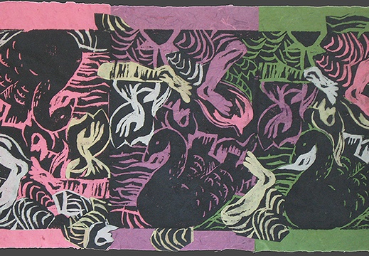 Black Swans Swimming